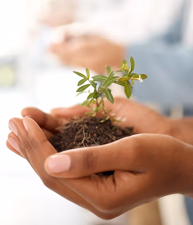 A woman holding a plant that is not in a pot.