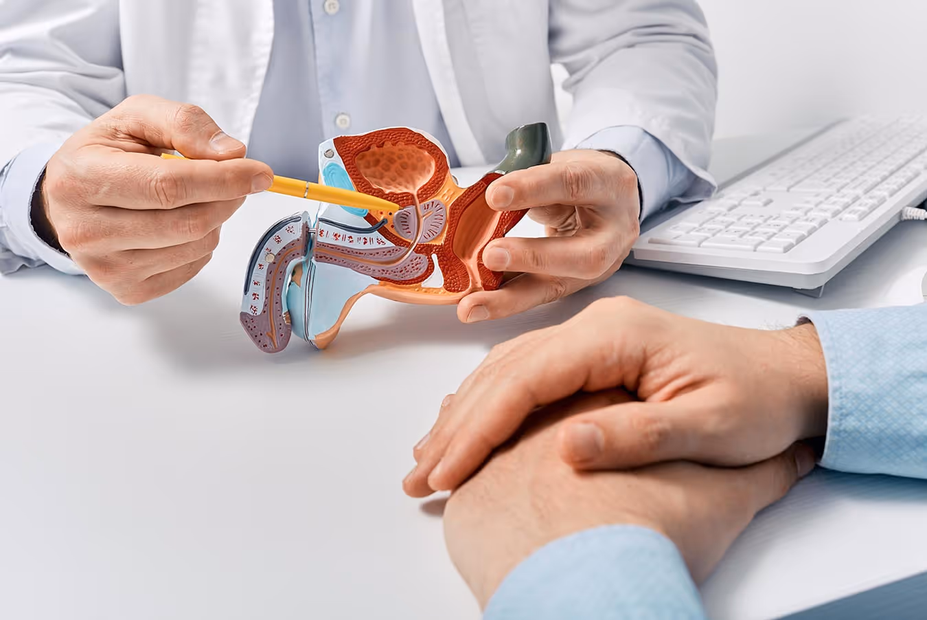 The doctor is showing a penile model to his patient while the patient listens.